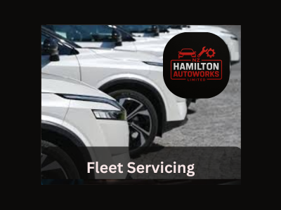 Fleet Servicing - Coming Soon ...